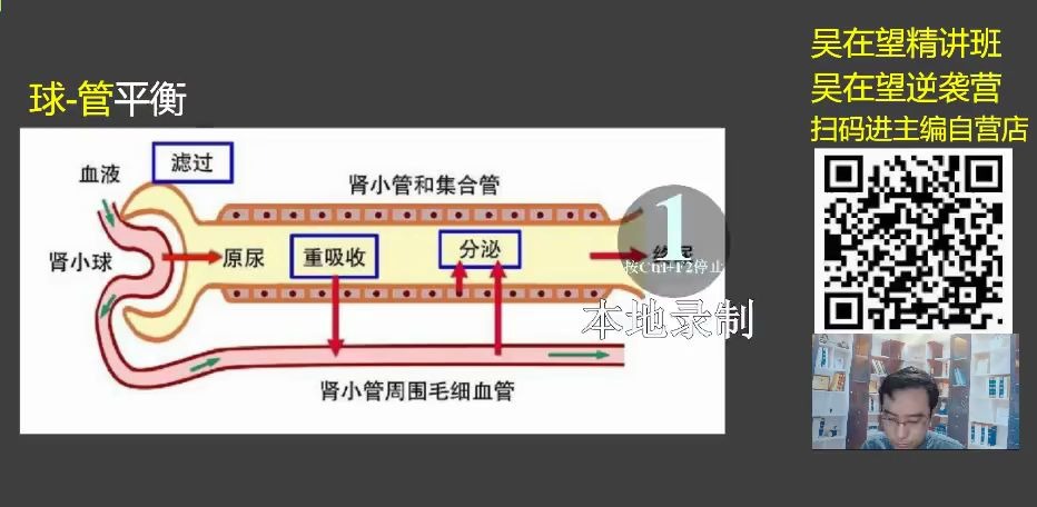 37难点专攻吴在望2021生理学第八章泌尿系统6清除率排尿反射哔哩哔哩bilibili