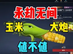 Descargar video: 【永劫无间】苞米火炮值不值30元？