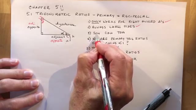 5.1 Primary and Reciprocal Trigonometric Ratios哔哩哔哩bilibili