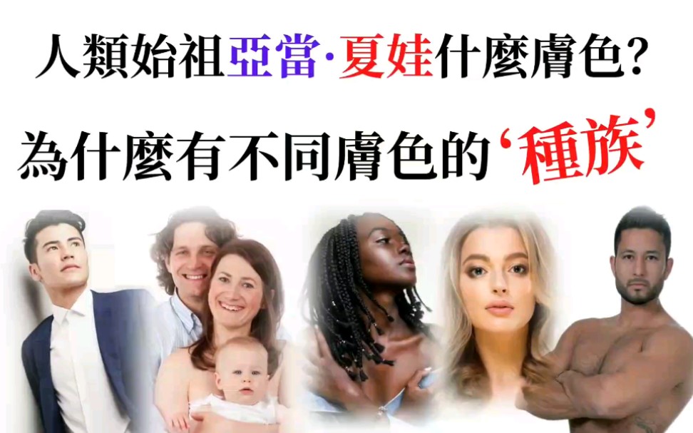 [图]【資源分享】人類的起源：為什麼有不同膚色的人種？人類始祖亞當夏娃什麼膚色？創造論對進化論；挪亞方舟；大洪水和巴別塔；華人的祖先；