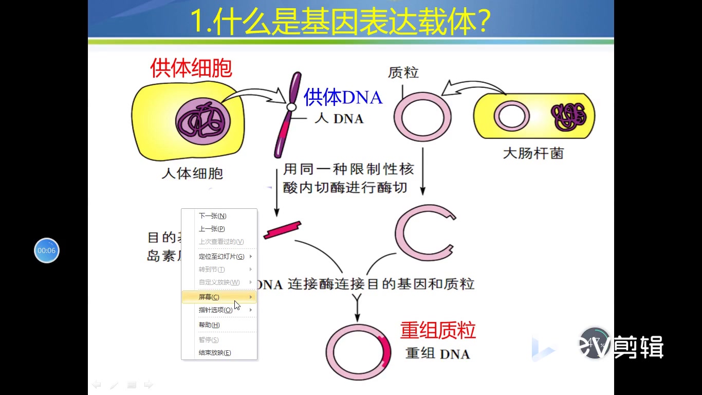 122基因工程基因表达载体的构建