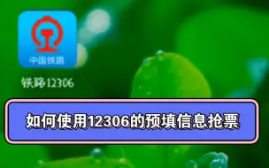 如何使用12306的预填信息抢票