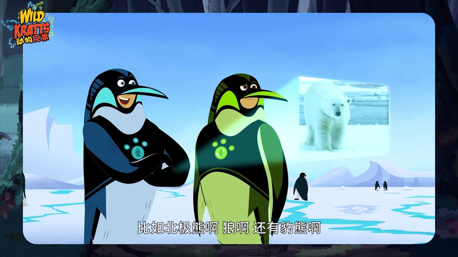 【动物兄弟】企鹅在北极的话如何生存?