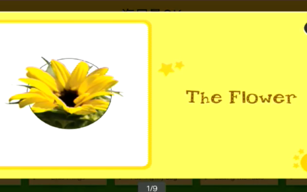 look at theflowers图片