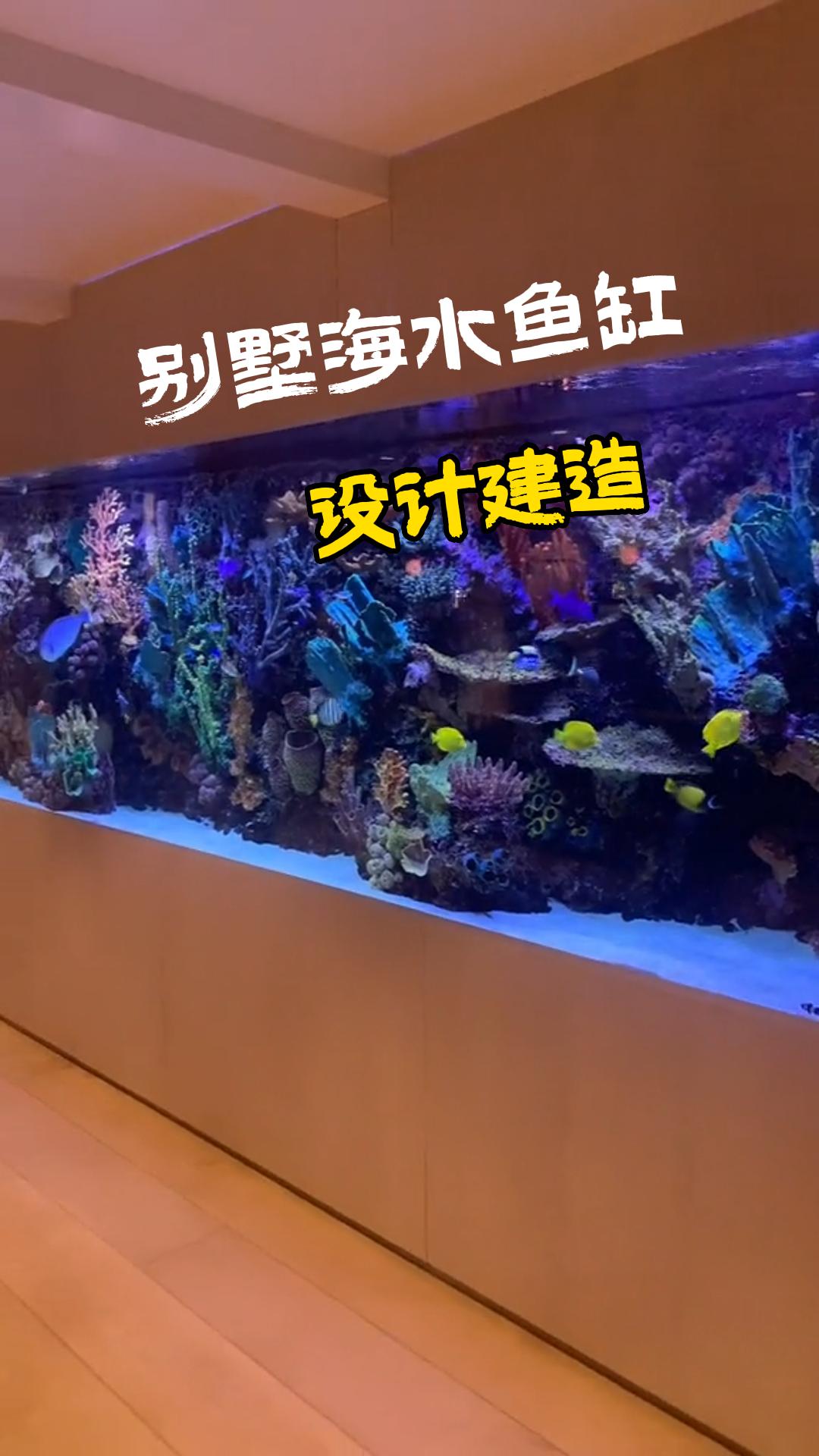 大型海水鱼缸图片