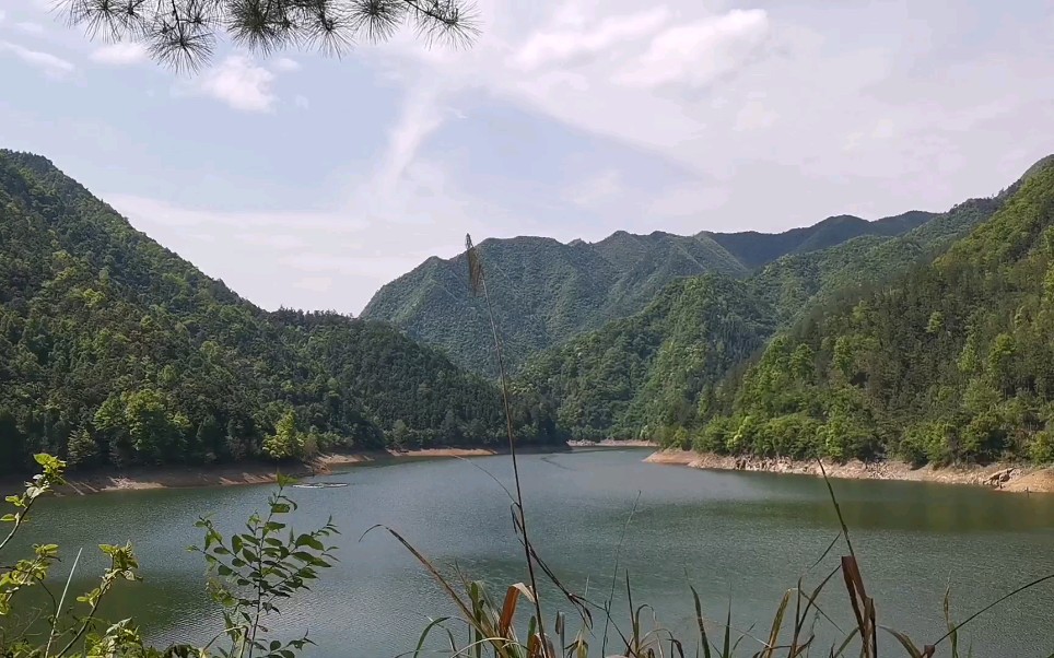 【春游日】一个人迹罕至的家庭出游点,罗村水库