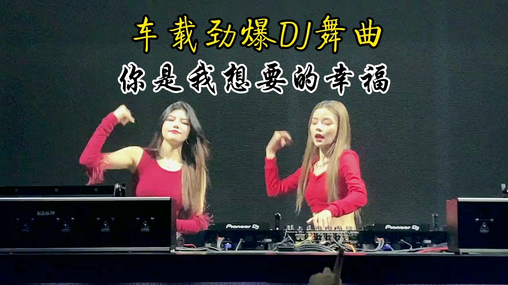 [图]车载劲爆DJ舞曲《你是我想要的幸福》快乐的音乐节奏，最嗨的现场气氛