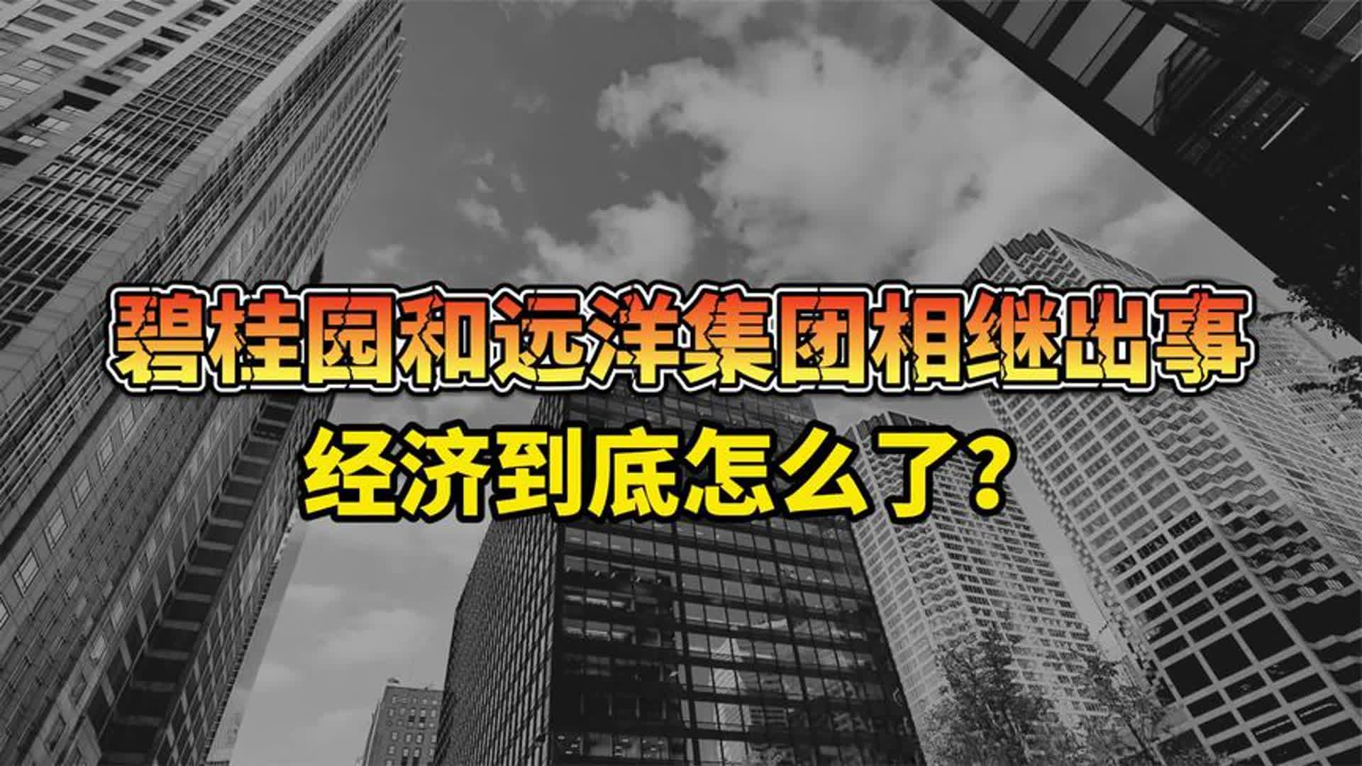 碧桂园和远洋集团相继出事,经济到底怎么了?哔哩哔哩bilibili