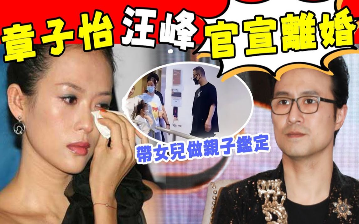 刚刚,章子怡汪峰官宣离婚! 男方带女儿当亲子鉴定,35亿财产独占28亿,岳母一语成谑! 离婚内幕一目了然!哔哩哔哩bilibili