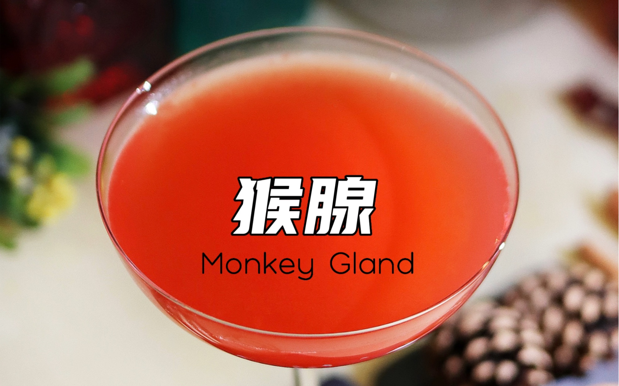 猴腺Monkey Gland,这是一款令人震惊的鸡尾酒,并源自一个永葆青春的荒谬实验,建议大家最好不要去搜!哔哩哔哩bilibili