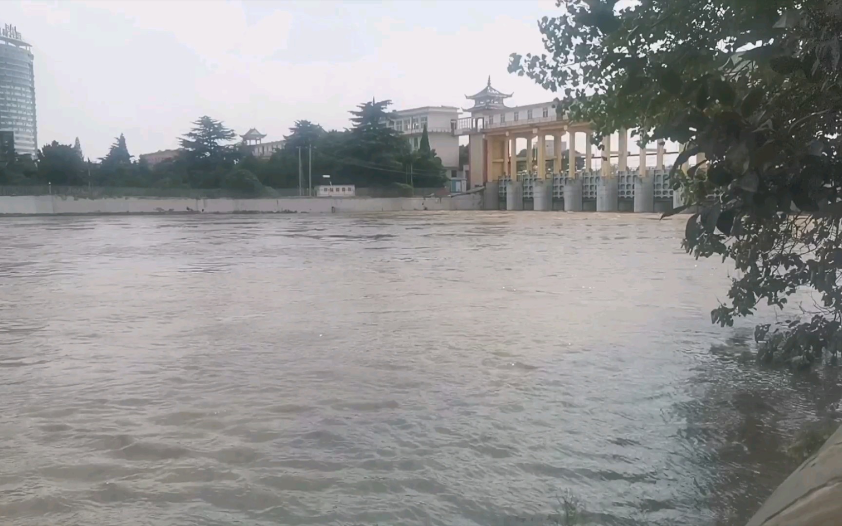 活动作品河南大爆雨贾鲁河泄洪整条河染黄了