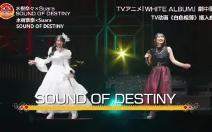 Download Video: 【转载】SOUND OF DESTINY（原版首次现场演唱）