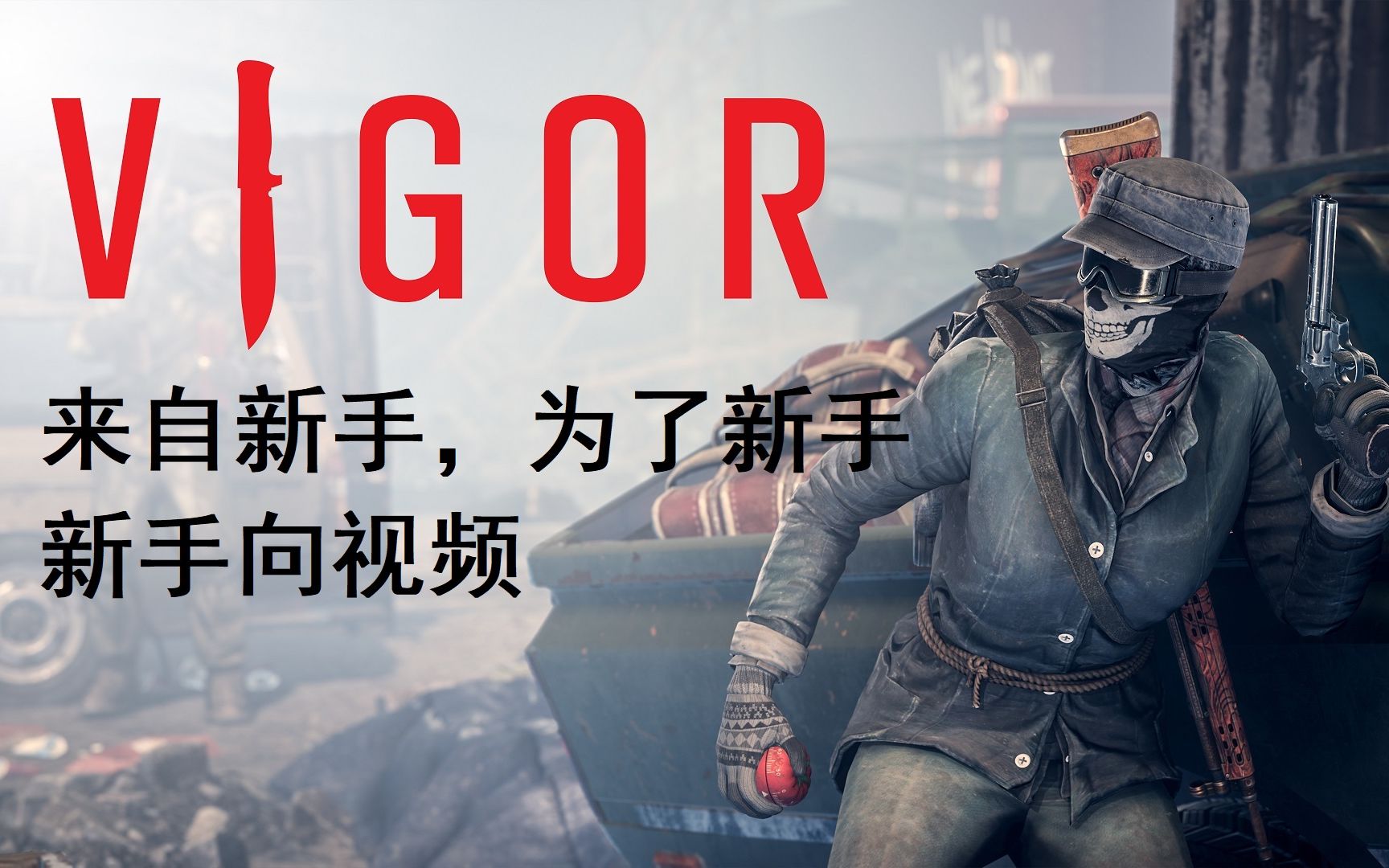 【Vigor】来自新手为了新手的新手向视频 第1期 基本情况哔哩哔哩bilibili