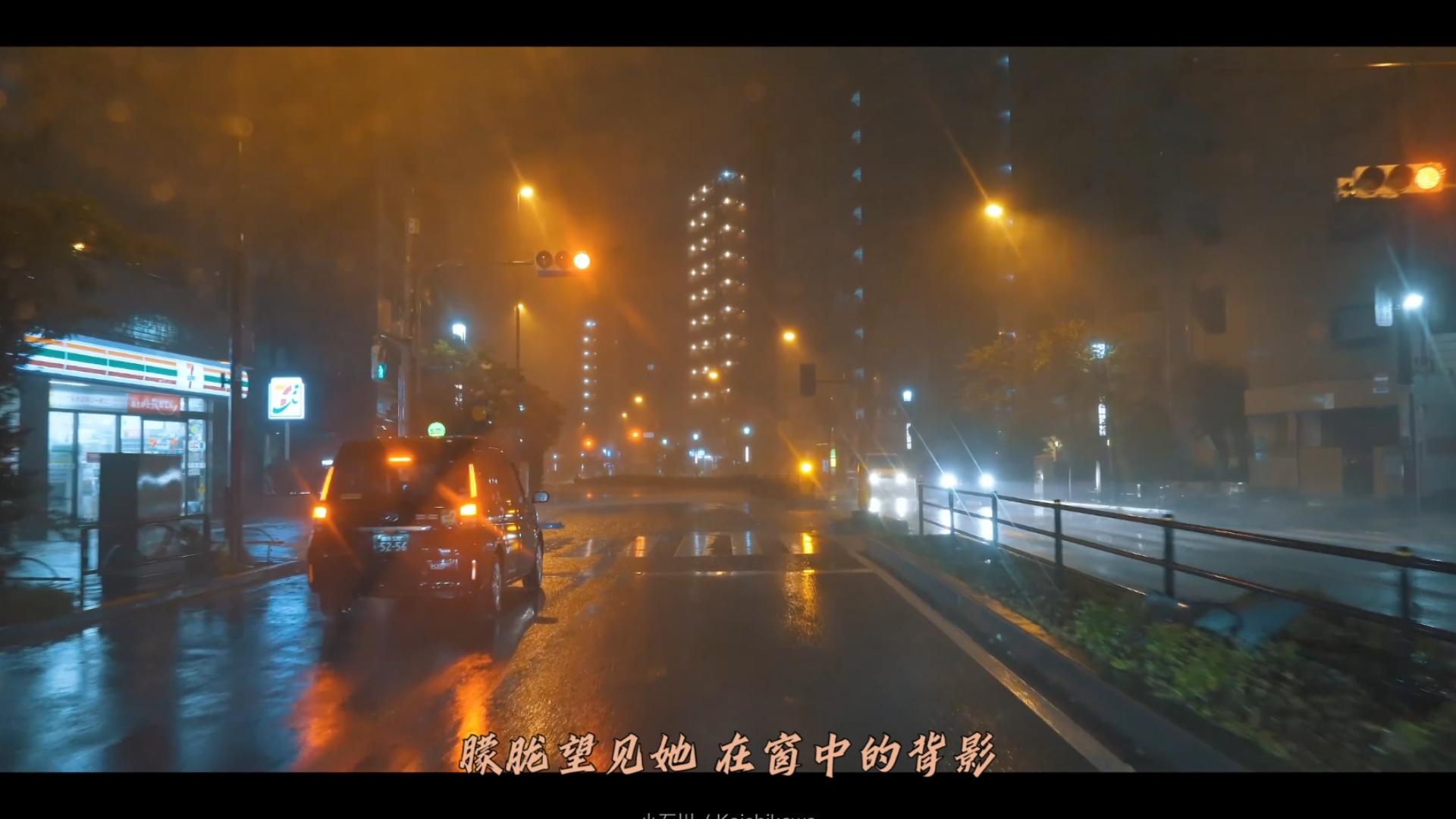 [图]《雨丝情愁》 东京雨夜驱车 顾斐演唱