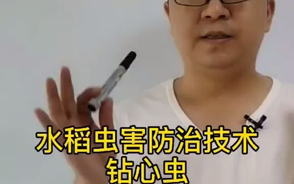 【新农村】水稻钻心虫防治技术,药剂的特点,要的拿走吧.哔哩哔哩bilibili