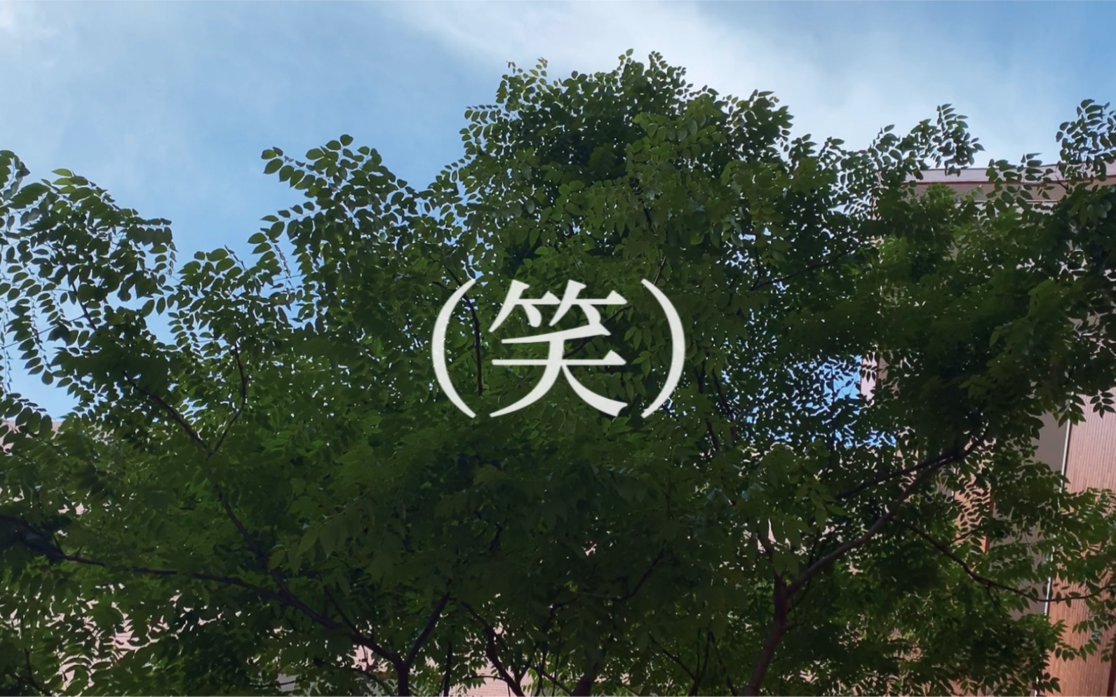 【自制mv短片】《(笑)》- 太一