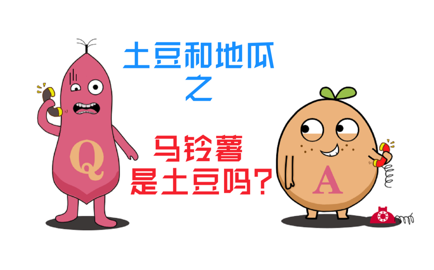 马铃薯就是土豆吗?那红薯和地瓜呢?哔哩哔哩bilibili