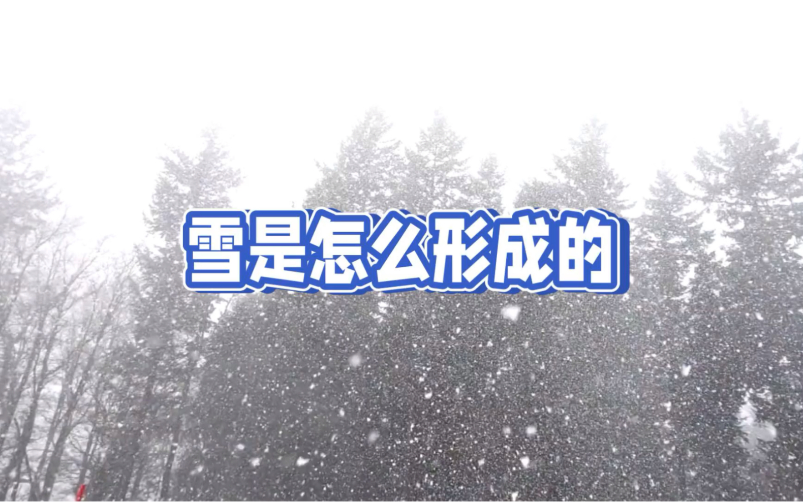 雪的形成过程:冰晶与过冷却水滴的奇妙关系哔哩哔哩bilibili