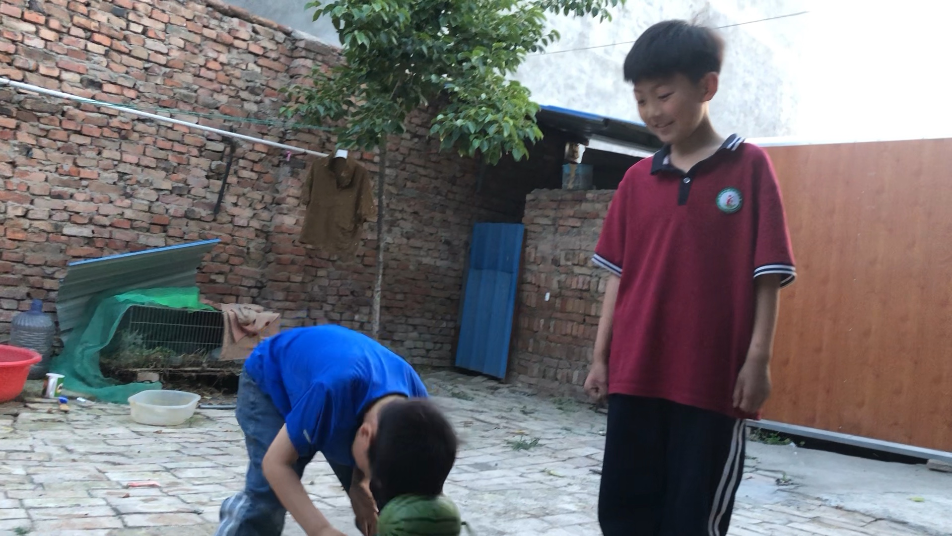 兄弟两个用头劈西瓜.