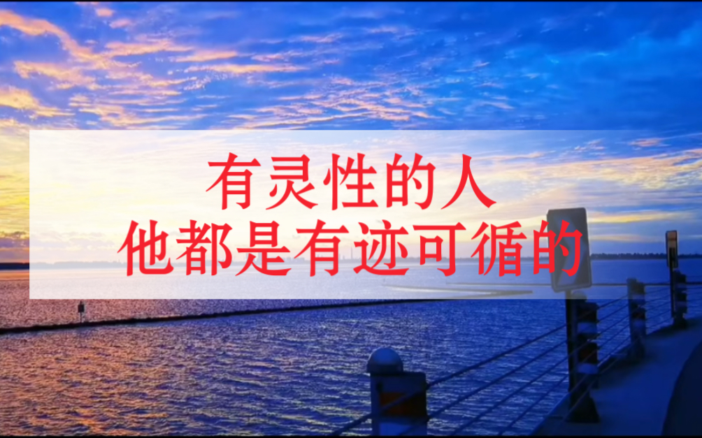 有灵性的人,他都是有迹可循的.哔哩哔哩bilibili