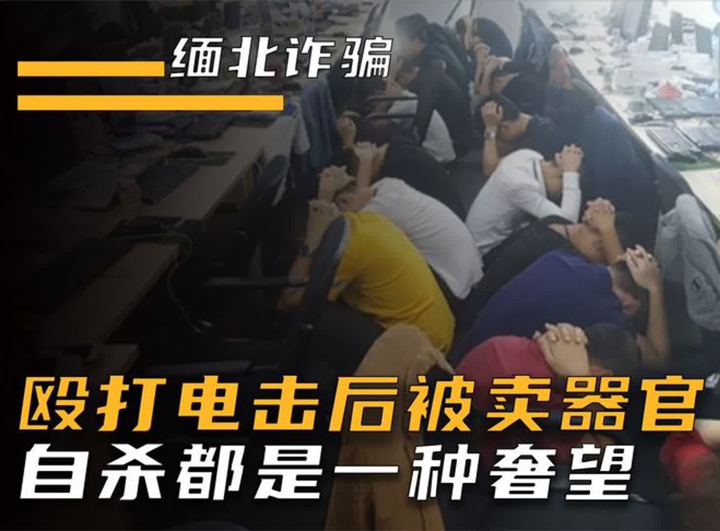 缅北诈骗集团真实影像,殴打电击后被卖器官,自杀都是一种奢望