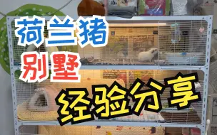 Descargar video: 【荷兰猪】如何搭建一个猪猪别墅