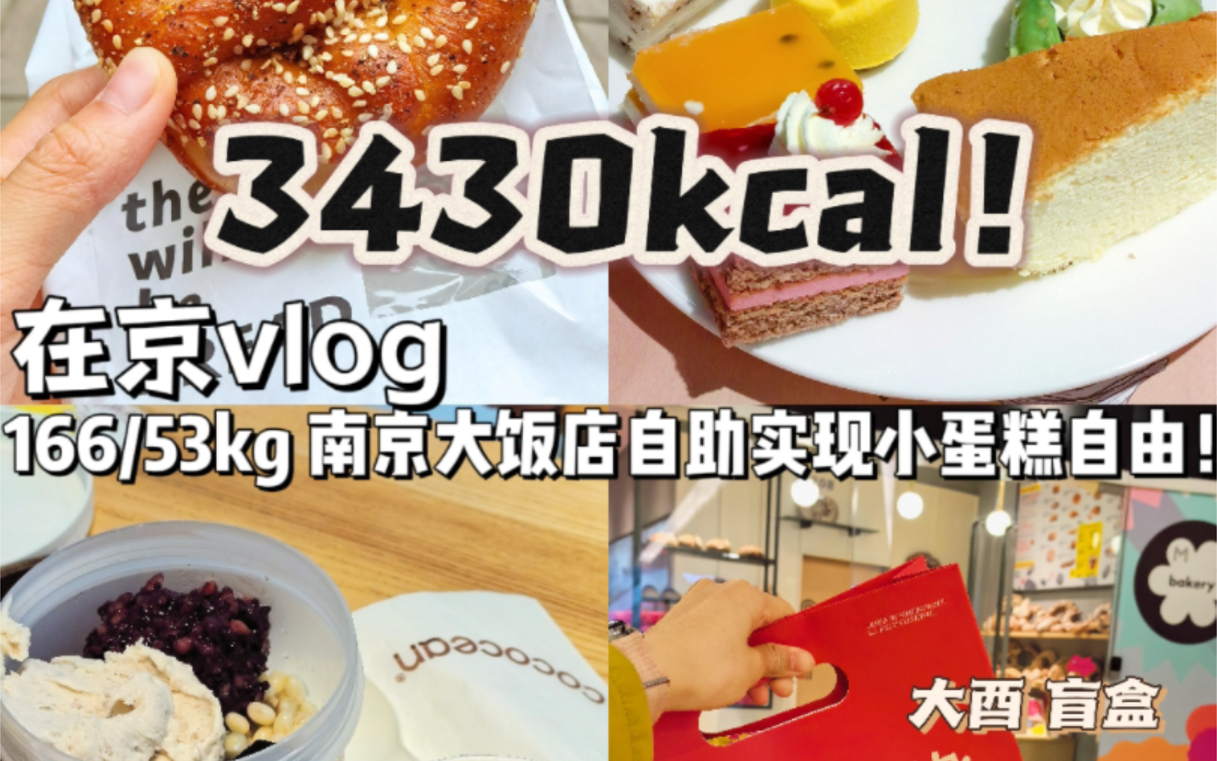 在京日常vlog|南京大饭店——晶丽香榭自助餐~实现甜品自由!!|打卡88面包盲盒!哔哩哔哩bilibili