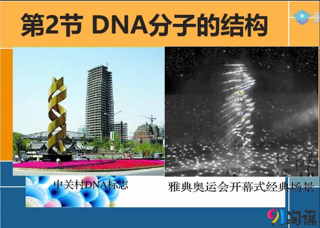 【生物】必修二 DNA分子结构哔哩哔哩bilibili