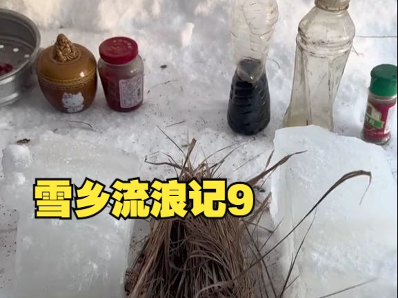 雪乡流浪记9