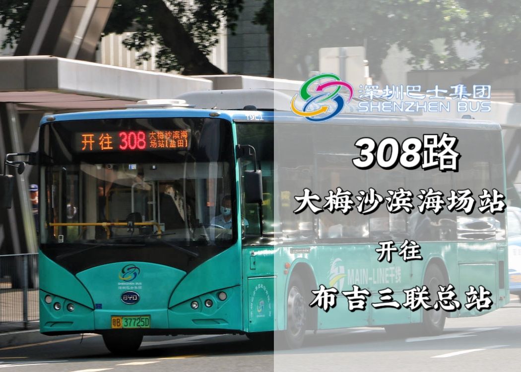 深圳308路公交车路线图图片