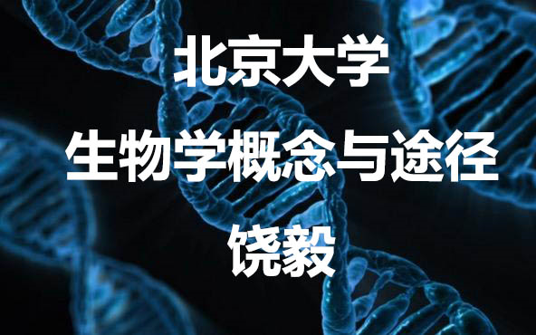 北京大学:生物学概念与途径 (中)哔哩哔哩bilibili