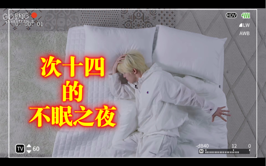 SEVENTEEN睡我旁边的不眠之夜,虽然没有20W哔哩哔哩bilibili