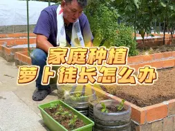 Video herunterladen: 家庭种植萝卜徒长怎么办