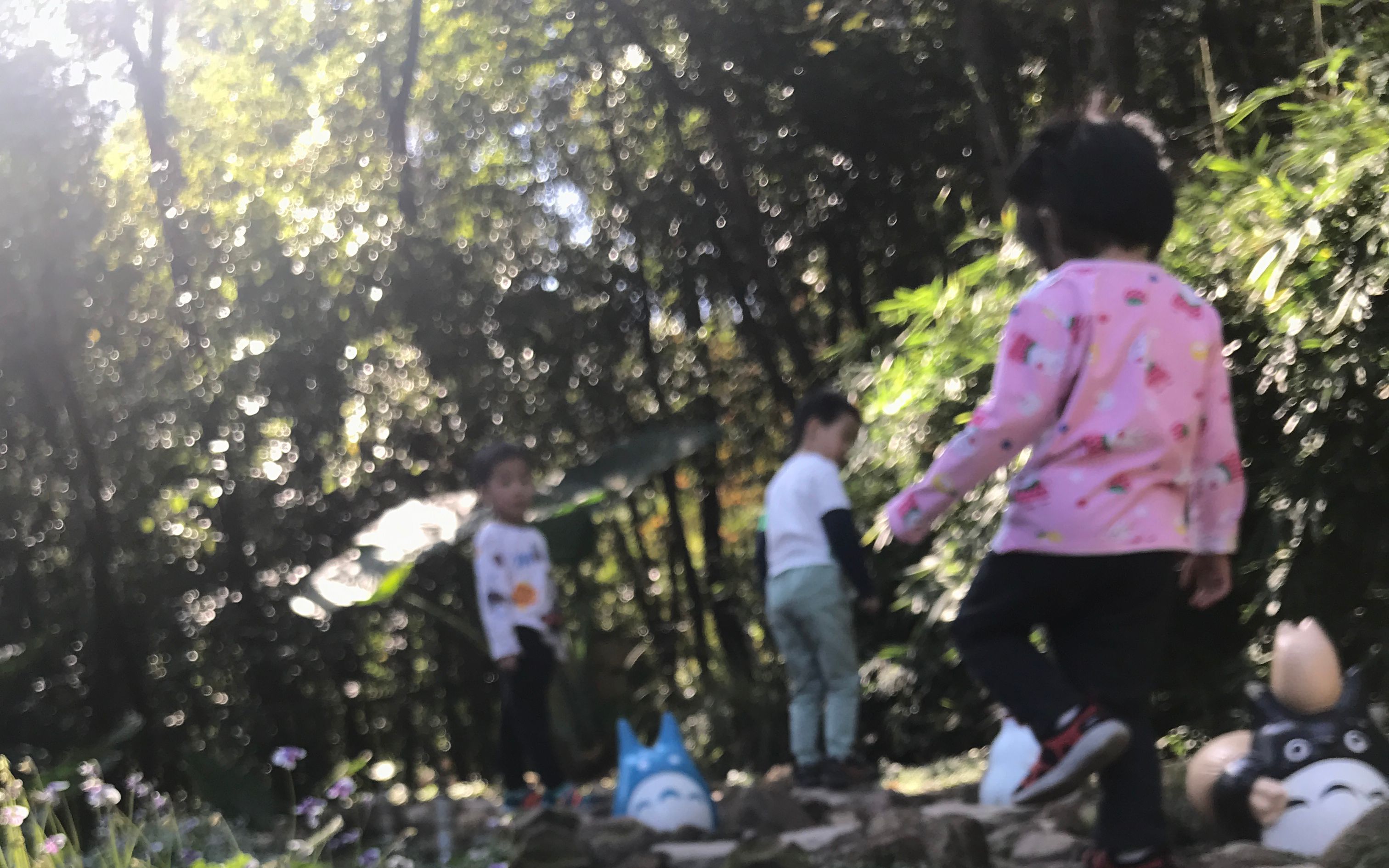 [图]周末重庆南山莫名其妙花园游