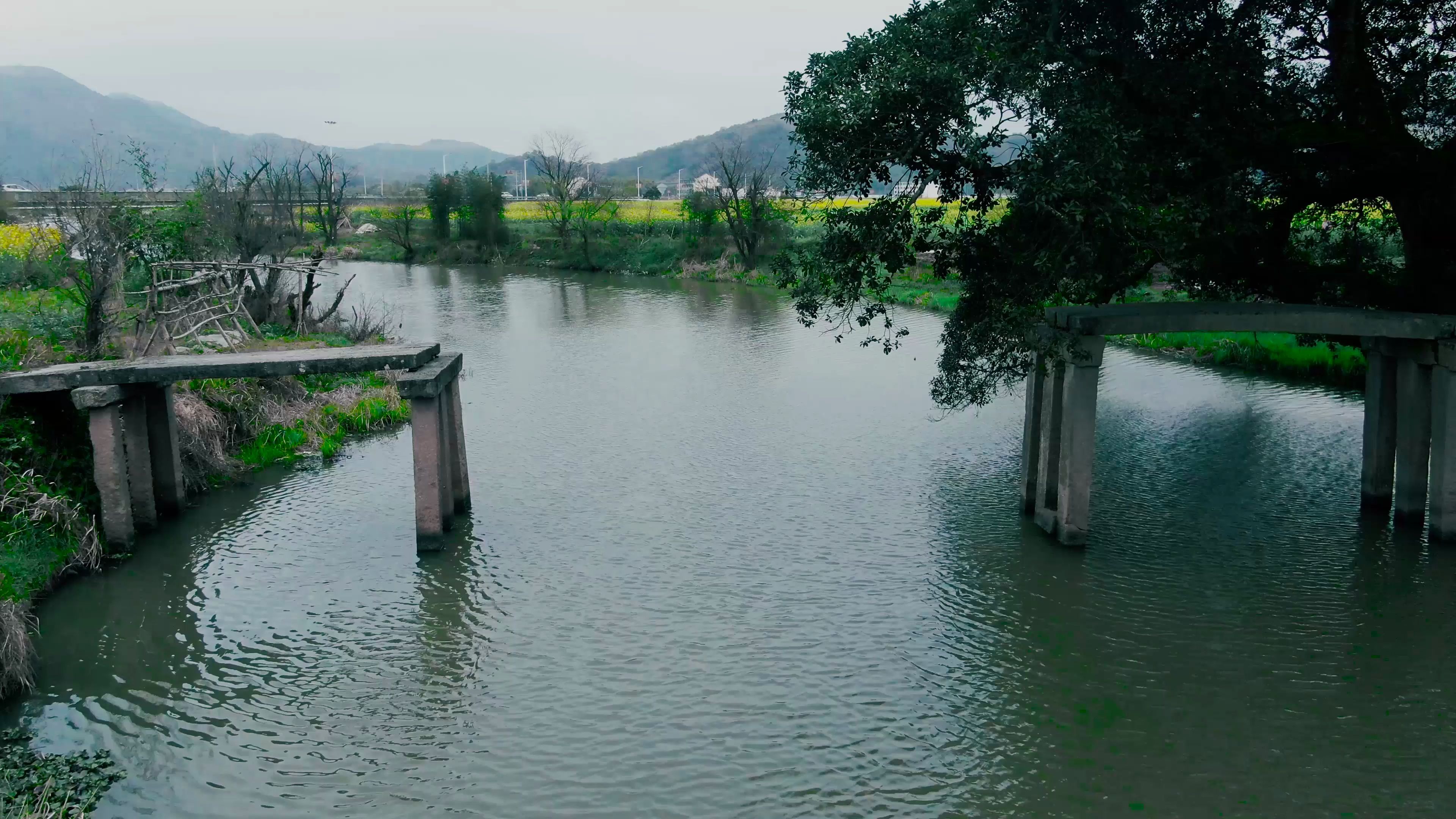 温州南湖油菜花旁的断桥,给油菜花添了一道美丽的风景,如果是整条那就