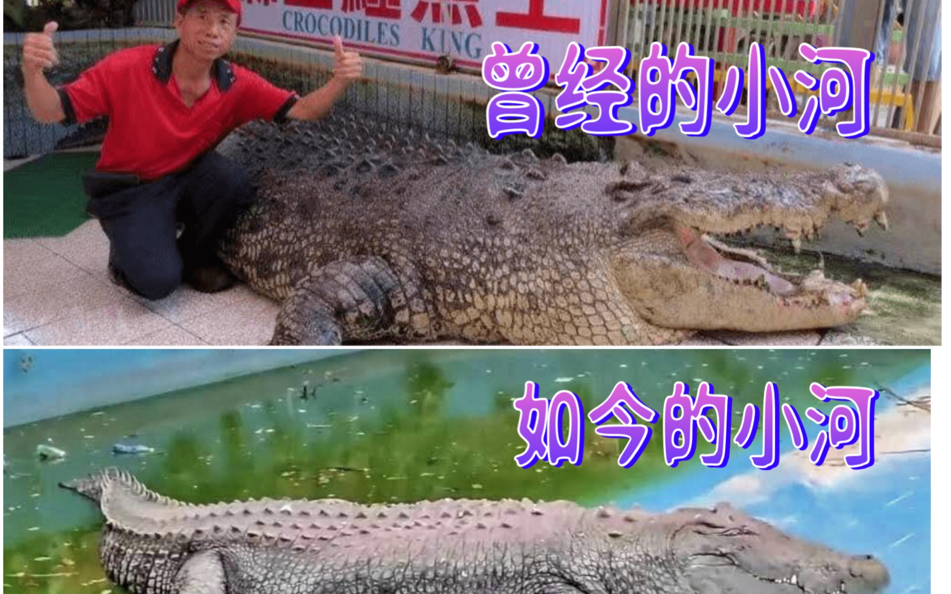 曾经的湾鳄小河与如今的湾鳄小河