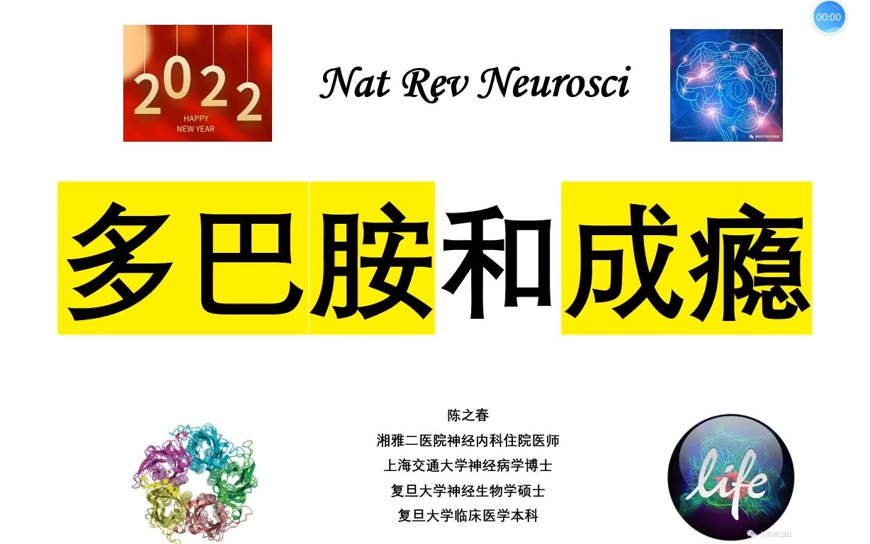 Nat Rev Neurosci—多巴胺与各种“瘾”哔哩哔哩bilibili