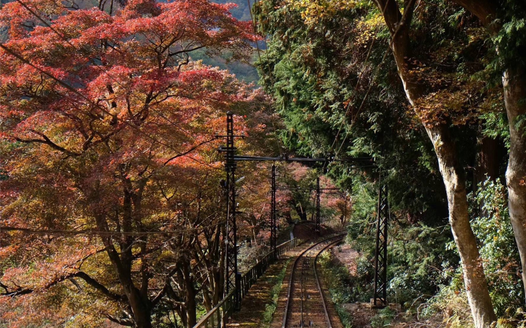 【vlog】20231115比叡山