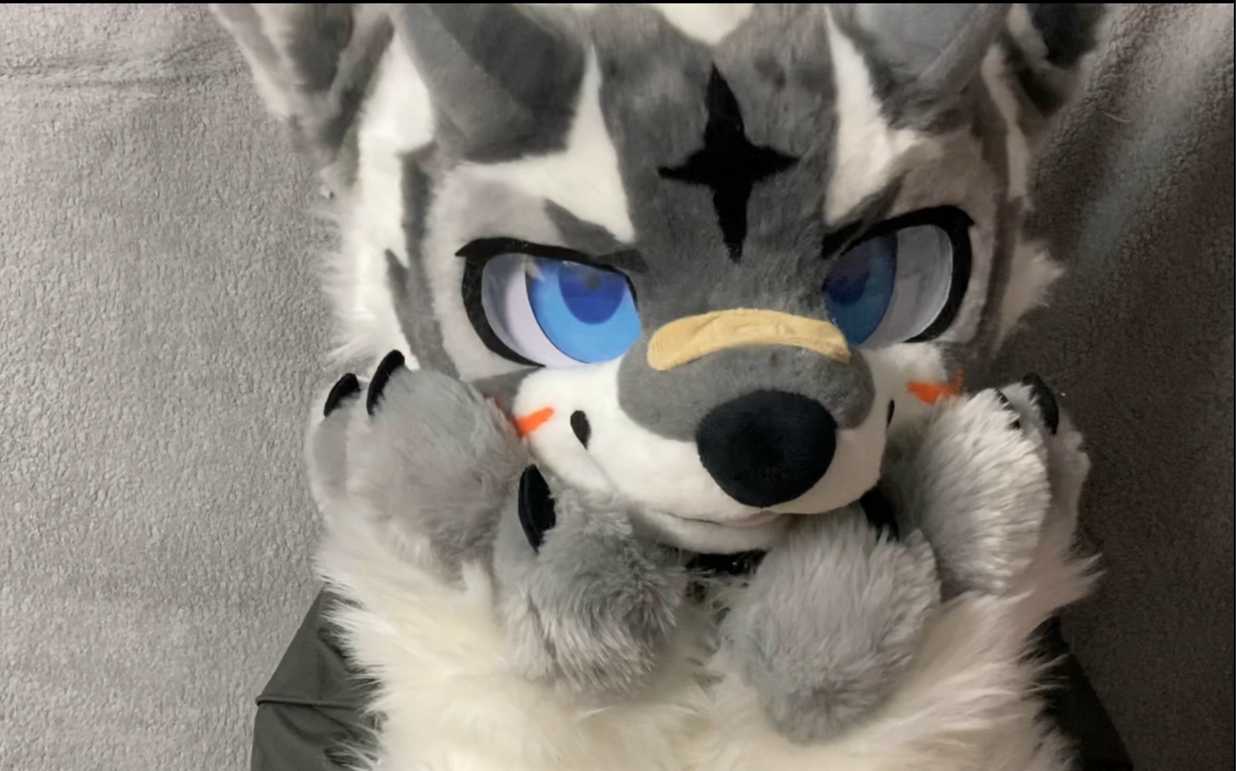 【fursuit制作】龙犬caggo