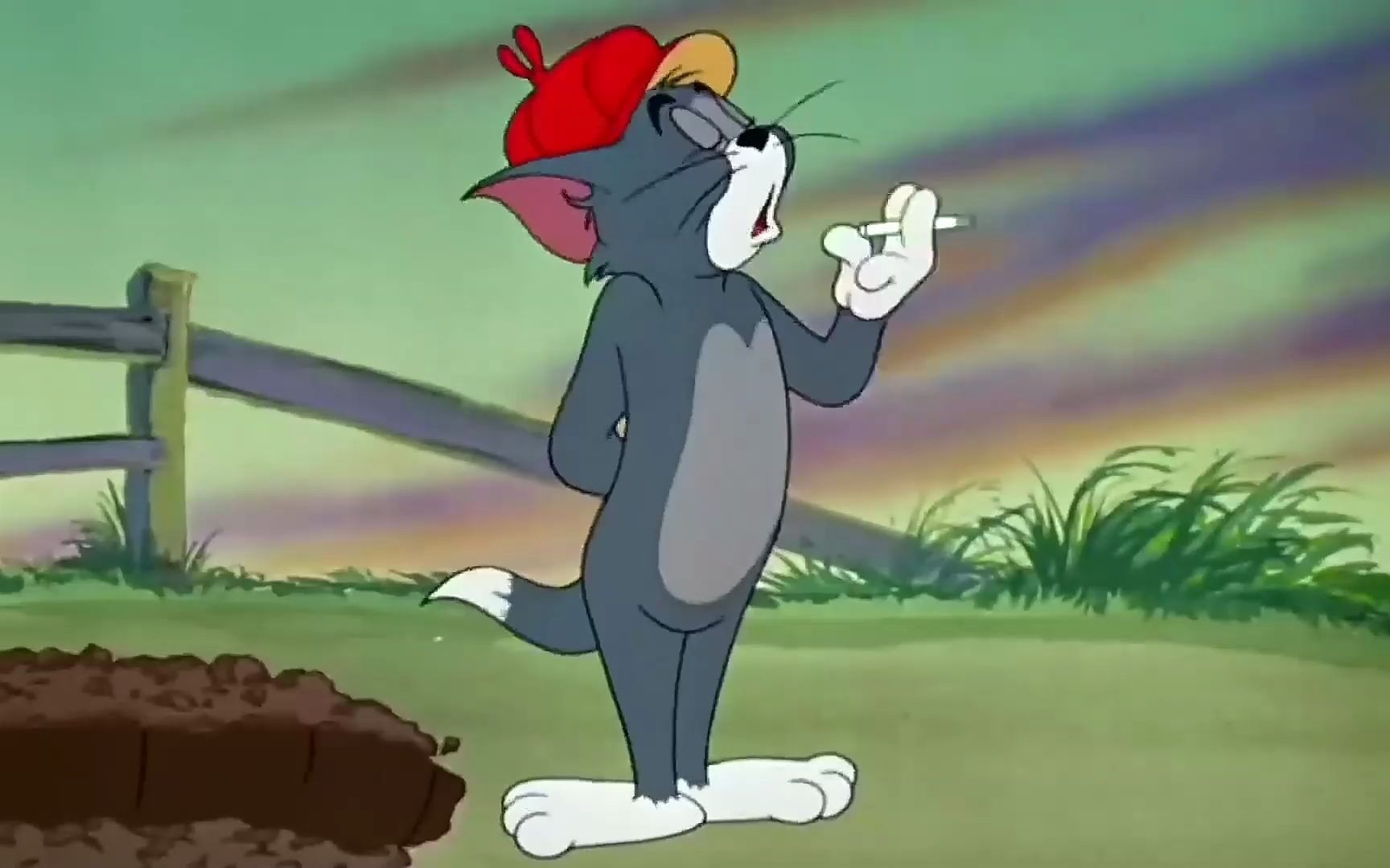 每日一遍,防止抑郁#怀旧动画 #治愈一切不开心 #猫和老鼠