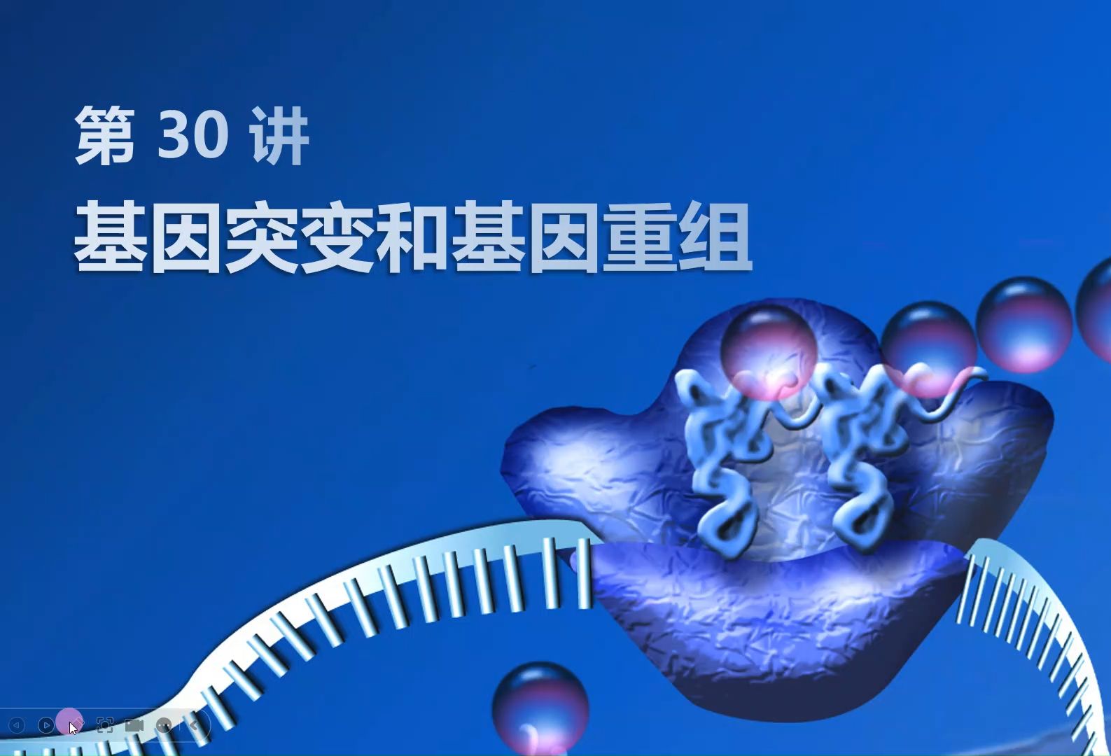 【2025高中生物一轮复习】30讲1基因突变 新高考创新设计全国通用新教材新课标网课必修一必修二选择性必修123哔哩哔哩bilibili