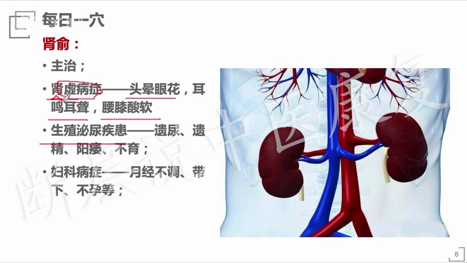 18【每日一穴】肾俞穴——掌管一身元阴元阳的穴位哔哩哔哩bilibili