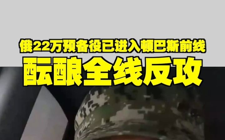 [图]俄22万预备役已进入顿巴斯前线 酝酿全线反攻