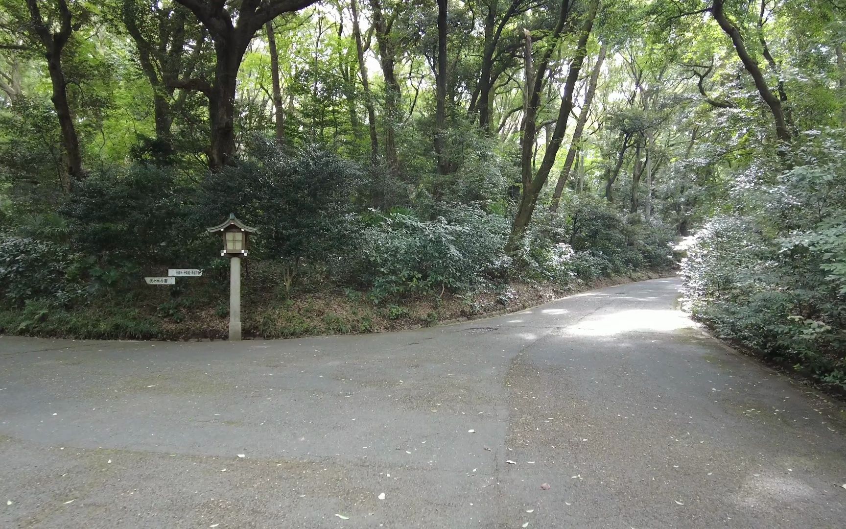 【超清日本】【东京】【4k】2023 东京 代代木