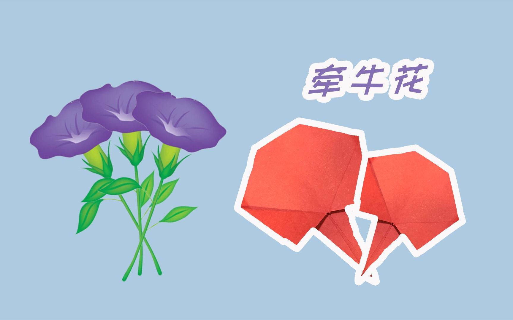 【牵牛花】植物折纸图鉴牵牛花像什么?像小喇叭?像水母?哔哩哔哩bilibili