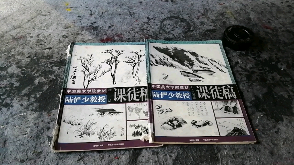 陆俨少山水画(树法、石ⷤ𚑦𐴦𓕩介绍 主讲人:李致远老师哔哩哔哩bilibili