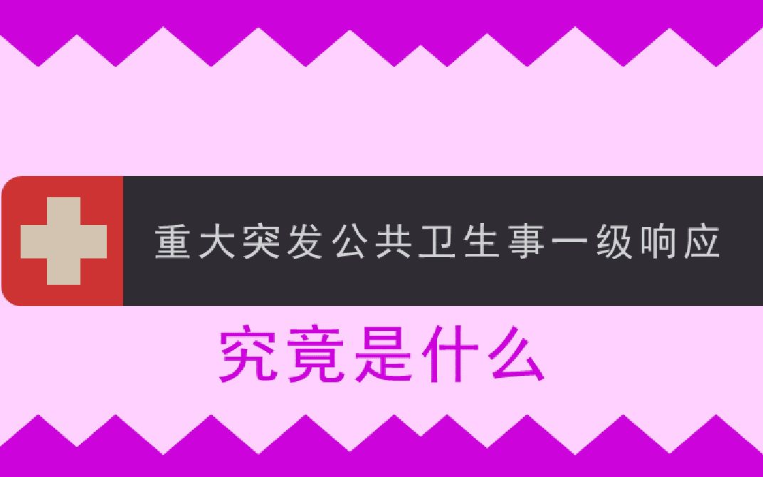 各省刷屏的一级响应是什么?肺炎疫情怎样时进入重大突发公共卫生事件一级响应?【新型冠状病毒】哔哩哔哩bilibili