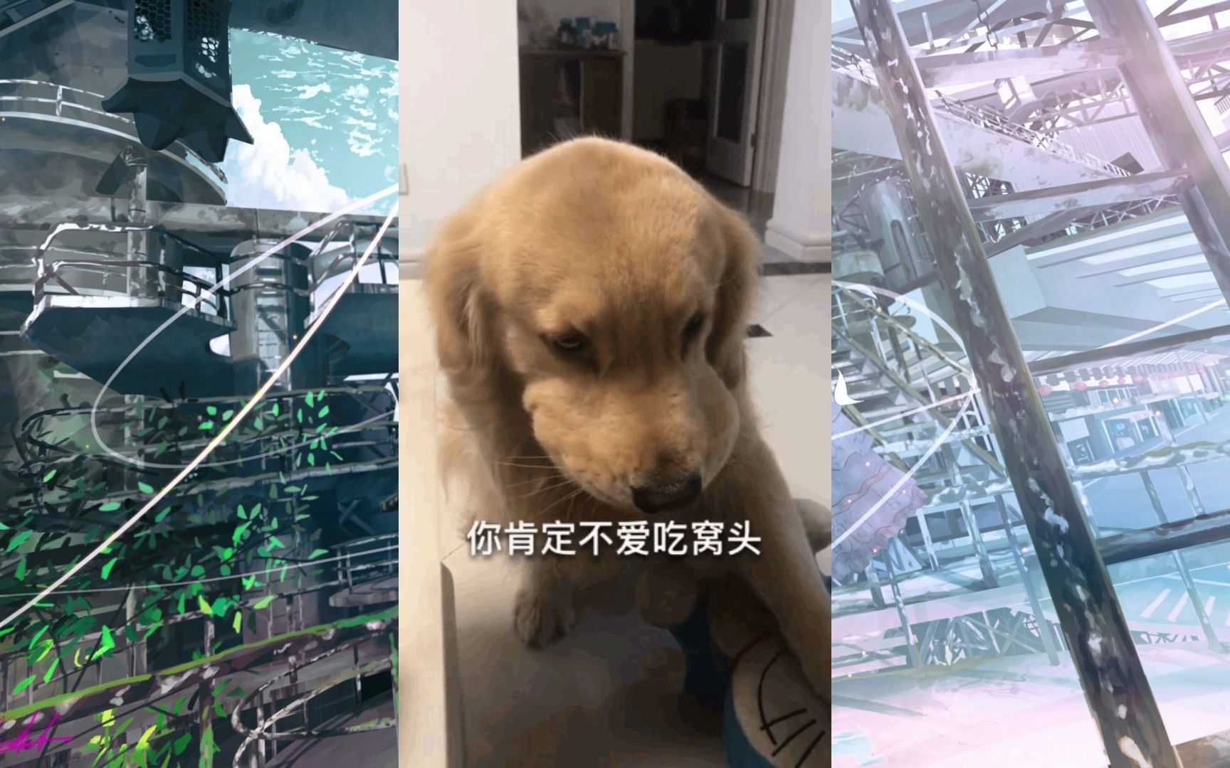 【推荐之】网络上那些搞笑,有趣的沙雕图(三)