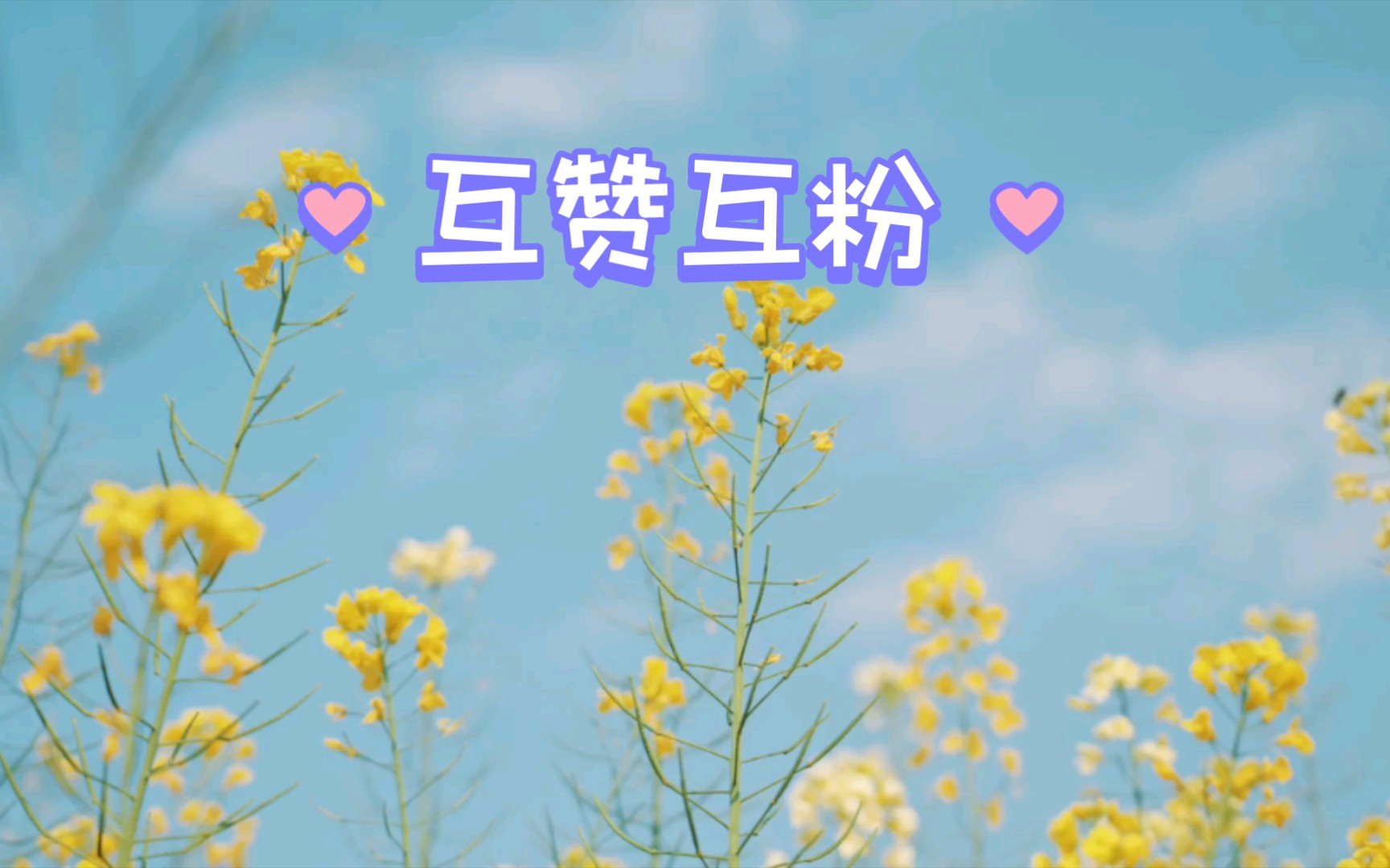 活动作品互赞互粉