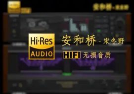 Descargar video: 【Hi-Res无损】《安和桥》宋冬野 - 让我再尝一口  秋天的酒  一直往南方开  不会太久